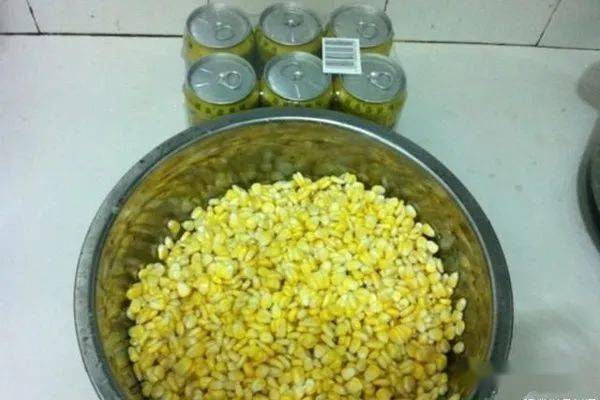 如何用炒麸皮制作美味钓鱼饵料 如何用炒麸皮制作美味钓鱼饵料