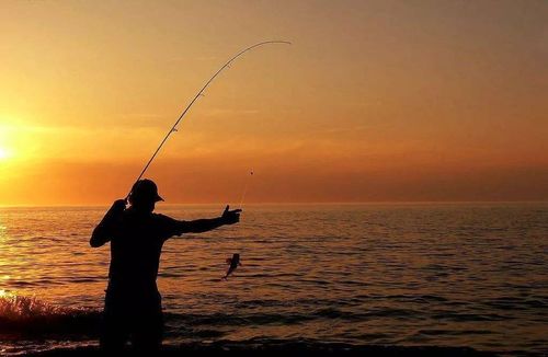 当哲学遇上鱼钩,用口香糖、泡面和哲学家钓上人生真谛 当哲学遇上鱼钩,用口香糖、泡面和哲学家钓上人生真谛