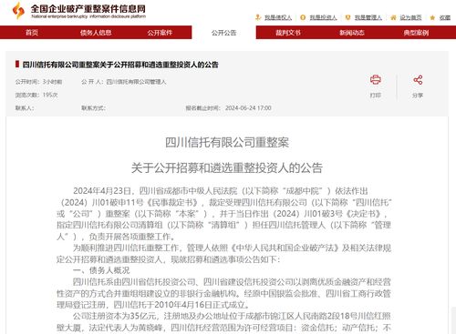 *ST新元:关于公开招募和遴选重整投资人的进展公告 *ST新元:关于公开招募和遴选重整投资人的进展公告