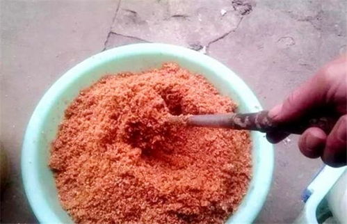 麦浪钓鱼饵料怎么样?深度解析与真实体验 麦浪钓鱼饵料怎么样?深度解析与真实体验