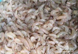 如何制作假虾钓鱼饵料视频,详细教程 如何制作假虾钓鱼饵料视频,详细教程