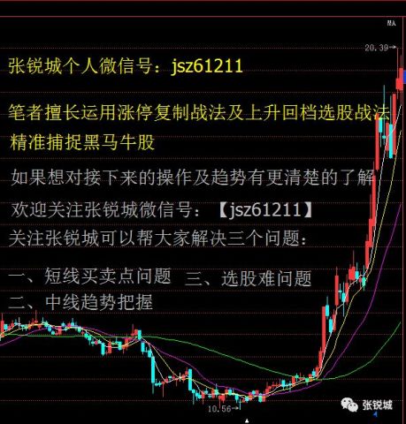 大千生态:大千生态关于2025年度向特定对象发行A股股票摊薄即期回报、采取填补措施及相关主体承诺(修订稿)的公告 大千生态:大千生态关于2025年度向特定对象发行A股股票摊薄即期回报、采取填补措施及相关主体承诺(修订稿)的公告