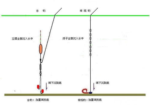 钓鱼饵料称斤怎么用视频,从新手到高手的精准饵料配比指南 钓鱼饵料称斤怎么用视频,从新手到高手的精准饵料配比指南