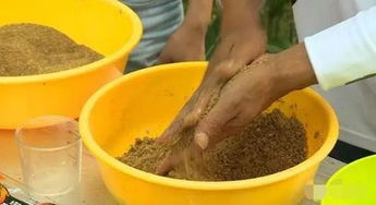 大袋子钓鱼饵料怎么用?这些方法让你物尽其用 大袋子钓鱼饵料怎么用?这些方法让你物尽其用