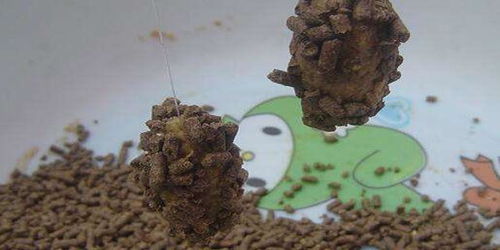 钓鱼饵料黏挂不掉的秘诀,提升钓鱼成功率的技巧 钓鱼饵料黏挂不掉的秘诀,提升钓鱼成功率的技巧