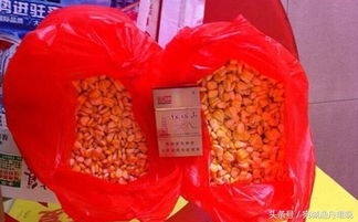 自制钓鱼饵料,果酸配制全攻略 自制钓鱼饵料,果酸配制全攻略