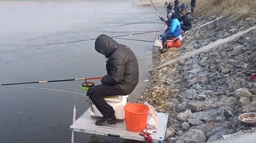 自配钓鱼饵料,白鲢钓鱼的完美选择 自配钓鱼饵料,白鲢钓鱼的完美选择