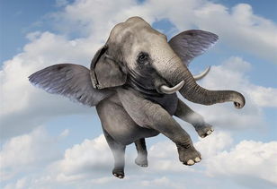 资金涌向银行股 “大象”再起舞 资金涌向银行股 “大象”再起舞