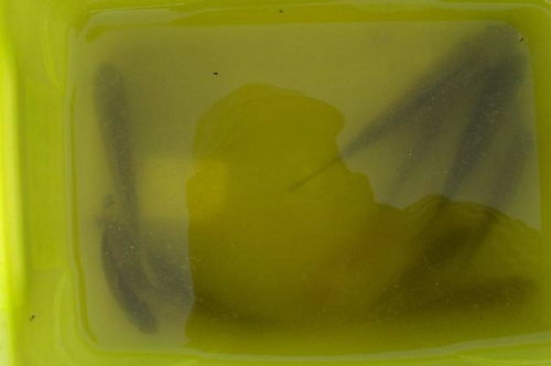 海藻丝钓鱼饵料怎么用?一学就会的实战技巧+视频教程推荐 海藻丝钓鱼饵料怎么用?一学就会的实战技巧+视频教程推荐