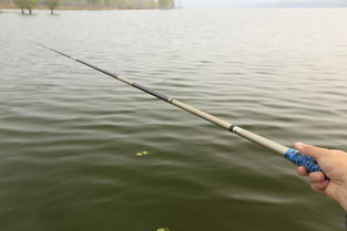 涨水怎么选位钓鱼饵料呢? 涨水怎么选位钓鱼饵料呢?