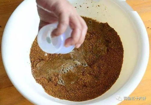 微爱钓鱼饵料怎么用?手把手教你制作与使用技巧 微爱钓鱼饵料怎么用?手把手教你制作与使用技巧