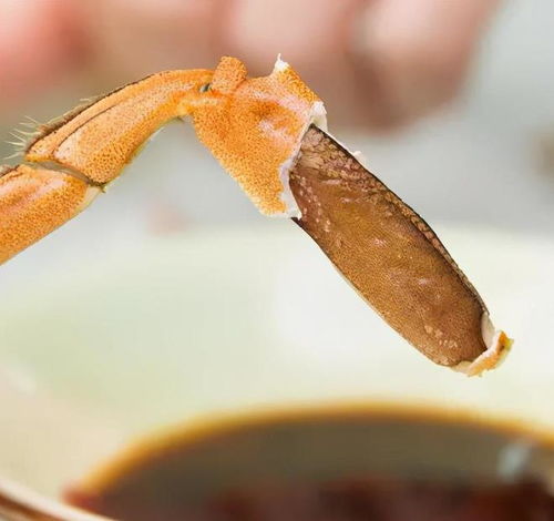 揭秘!用膏蟹作饵料的钓鱼秘籍,手把手教你轻松上鱼! 揭秘!用膏蟹作饵料的钓鱼秘籍,手把手教你轻松上鱼!