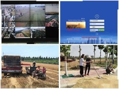 钓鱼饵料抛洒水怎么办,实用解决方案与预防指南 钓鱼饵料抛洒水怎么办,实用解决方案与预防指南