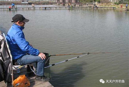 钓鱼王生鲜鱼饵料,让鱼儿主动上钩的秘诀 钓鱼王生鲜鱼饵料,让鱼儿主动上钩的秘诀