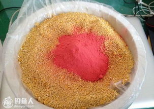 海藻面膜变废为宝,自制天然钓鱼饵料全攻略 海藻面膜变废为宝,自制天然钓鱼饵料全攻略