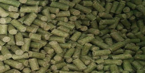 钓鱼饵料药袋子怎么用的?正确使用饵料添加剂的完整指南 钓鱼饵料药袋子怎么用的?正确使用饵料添加剂的完整指南