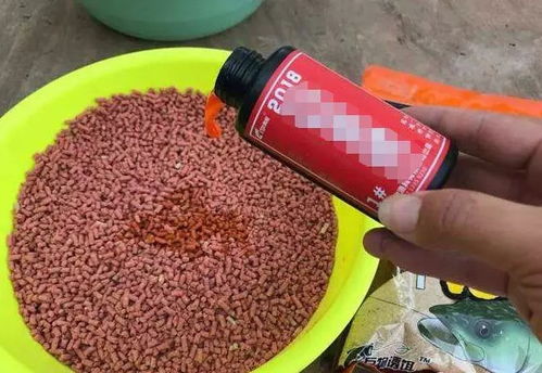用杯子自制鱼饵,钓鱼爱好者的简易指南 用杯子自制鱼饵,钓鱼爱好者的简易指南