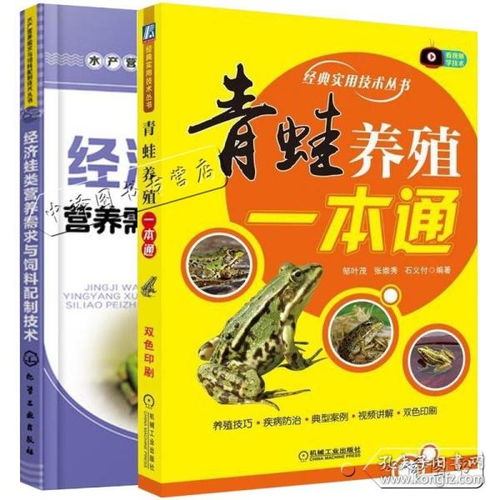 南池钓鱼饵料怎么配比，从基础到精通的完整指南