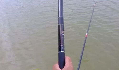 黑坑钓鱼,鱼竿与饵料的完美搭配,让你的收获翻倍! 黑坑钓鱼,鱼竿与饵料的完美搭配,让你的收获翻倍!