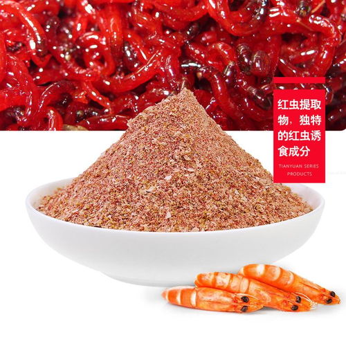 红虫钓鱼饵料的制作与使用全指南 红虫钓鱼饵料的制作与使用全指南