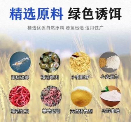 海边钓鱼饵料怎么挂?这份饵料挂法秘籍让你轻松上鱼! 海边钓鱼饵料怎么挂?这份饵料挂法秘籍让你轻松上鱼!