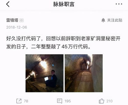 黑碎米到底怎么用?看完这个视频你就明白了! 黑碎米到底怎么用?看完这个视频你就明白了!