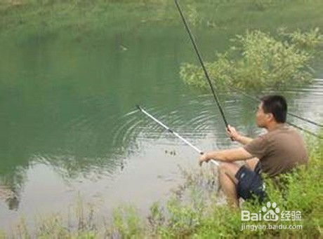 钓鱼饵料斗米,夏日垂钓的绝佳选择与使用全攻略 钓鱼饵料斗米,夏日垂钓的绝佳选择与使用全攻略