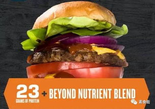 瑞穗下调Beyond Meat目标价至1美元 瑞穗下调Beyond Meat目标价至1美元