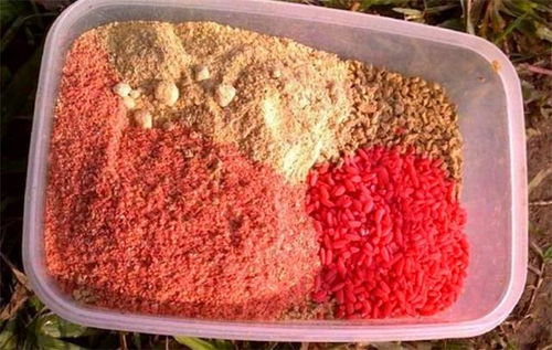 休闲塘挂玉米钓鱼饵料的正确方法 休闲塘挂玉米钓鱼饵料的正确方法