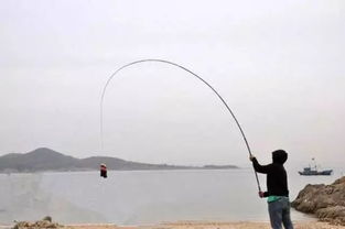 新手怎么选竿钓鱼饵料呢? 新手怎么选竿钓鱼饵料呢?