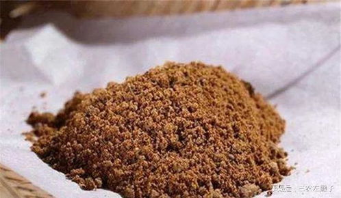 洁子钓鱼饵料的使用指南,从新手到高手的完整教程 洁子钓鱼饵料的使用指南,从新手到高手的完整教程