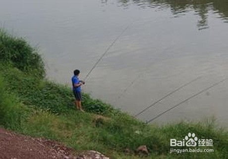 江河流水钓鱼饵料怎么开，从入门到精通的全面指南