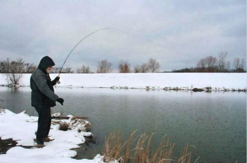 钓鱼饵料怎么弄不会掉,提升垂钓成功率的实用技巧 钓鱼饵料怎么弄不会掉,提升垂钓成功率的实用技巧