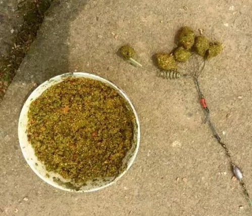 如何购买海钓鱼饵料,从选择到购买的完整指南(附图片参考) 如何购买海钓鱼饵料,从选择到购买的完整指南(附图片参考)