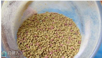 野钓饵料麦粒使用全攻略 野钓饵料麦粒使用全攻略