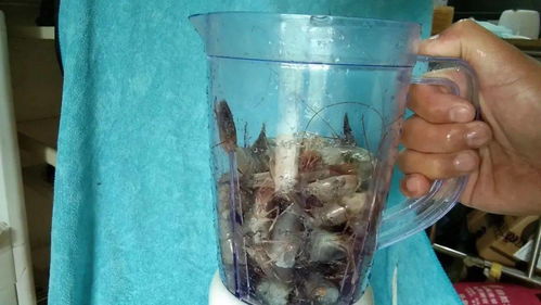 豆腐渣怎么使用钓鱼饵料?变废为宝的实用指南 豆腐渣怎么使用钓鱼饵料?变废为宝的实用指南