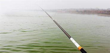 专业钓手必看,如何挑选适合手竿的优质钓鱼饵料 专业钓手必看,如何挑选适合手竿的优质钓鱼饵料