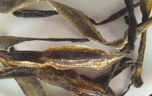 自制小鲫鱼钓鱼饵料的详细教程 自制小鲫鱼钓鱼饵料的详细教程