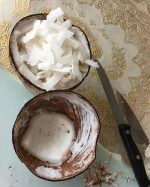 变废为宝!自制鸡饲料与钓鱼饵料,省钱又环保! 变废为宝!自制鸡饲料与钓鱼饵料,省钱又环保!