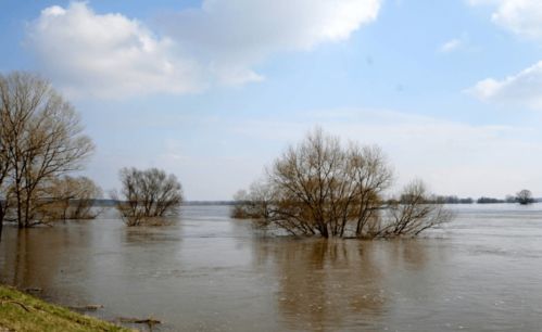 钓鱼饵料怎么叼鱼,视频教程全解析