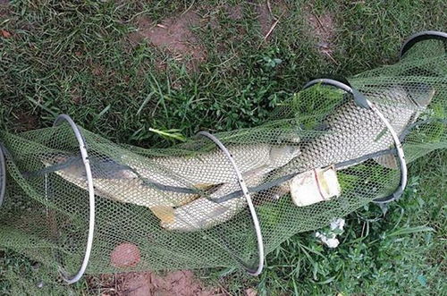 海竿海边钓鱼饵料怎么配,从入门到精通的饵料秘籍 海竿海边钓鱼饵料怎么配,从入门到精通的饵料秘籍