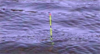 钓鱼饵料变粘稠的原因及应对措施 钓鱼饵料变粘稠的原因及应对措施