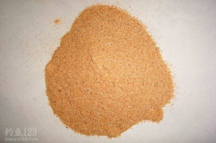 钓鱼饵料防止发霉，保存方法与使用技巧全解析