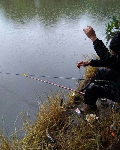 下雨天钓鱼饵料放置全攻略