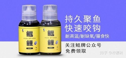 橙子皮的妙用，自制天然钓鱼饵料指南