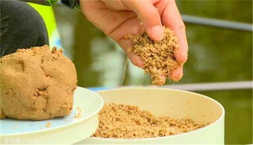 野钓秘籍，豆饼饵料的妙用，让鱼儿疯狂咬钩！