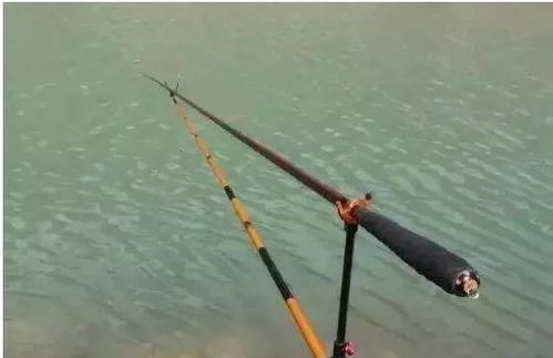 剪剪线也能钓大鱼！自制环保饵料的秘诀