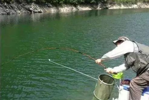 钓鱼饵料用的粗细怎么选？这几点你必须知道！