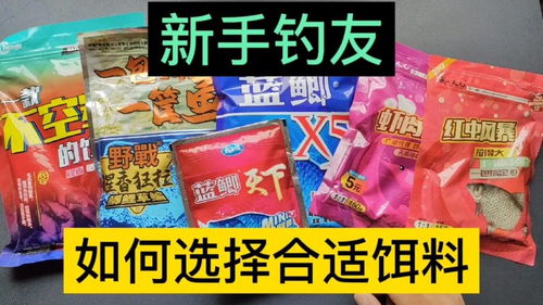 大红麦钓鱼饵料怎么用？超详细视频教程+实用技巧