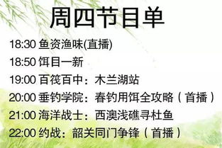 春钓秘籍，春饵使用全攻略